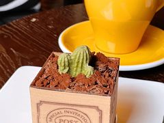 -咖法森林·咖啡  酒吧(天河店)