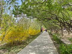 -元大都城垣遗址公园