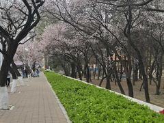 -吉林大学(南岭校区)