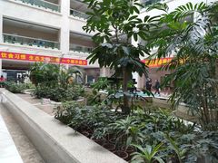 -辽宁省人民医院