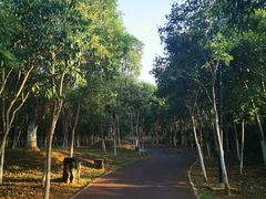 景点-艾溪湖湿地公园