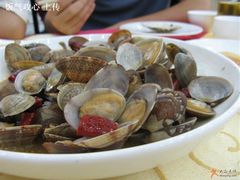 辣炒蛤蜊-海岛渔村大酒店(云霄路店)