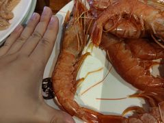 -甄品麦哲伦海鲜和牛自助(万达广场店)