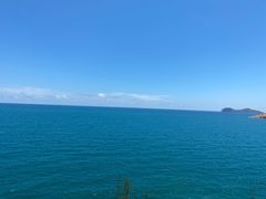 -广东惠东海龟国家级自然保护区