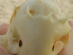 android_upload_pic-三亚湾海居铂尔曼度假酒店