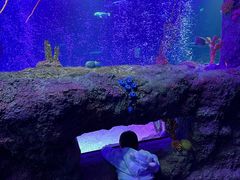 -沈阳海洋探索中心