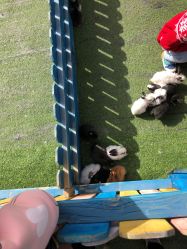 -萌宠亲子动物乐园(槐房万达店)