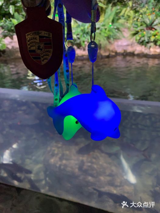 郑州海洋馆图片