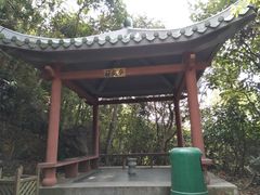 -银瓶嘴森林公园