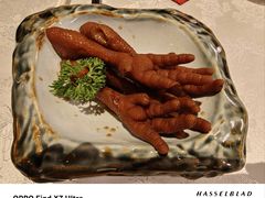 -酌宴府The China Club·广州万富希尔顿酒店(云城东路店)