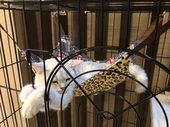 -津菜宋记老房子(鼓楼店)