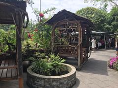 -青城甲(青城山店)