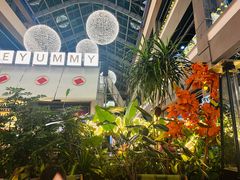 -Simple Yummy简单美味(上邦百汇城店)