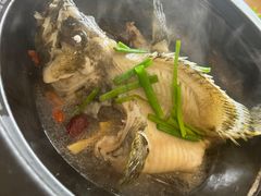 老虎斑-ZF Seafood Restaurant 卓峰海鲜餐