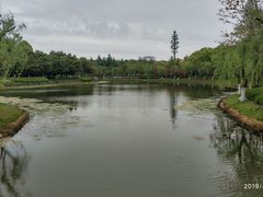 -上海鲜花港