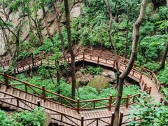 -大岭沟猕猴桃谷风景区
