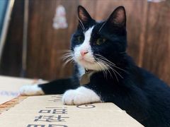 -微光私人影院(巴南万达店)