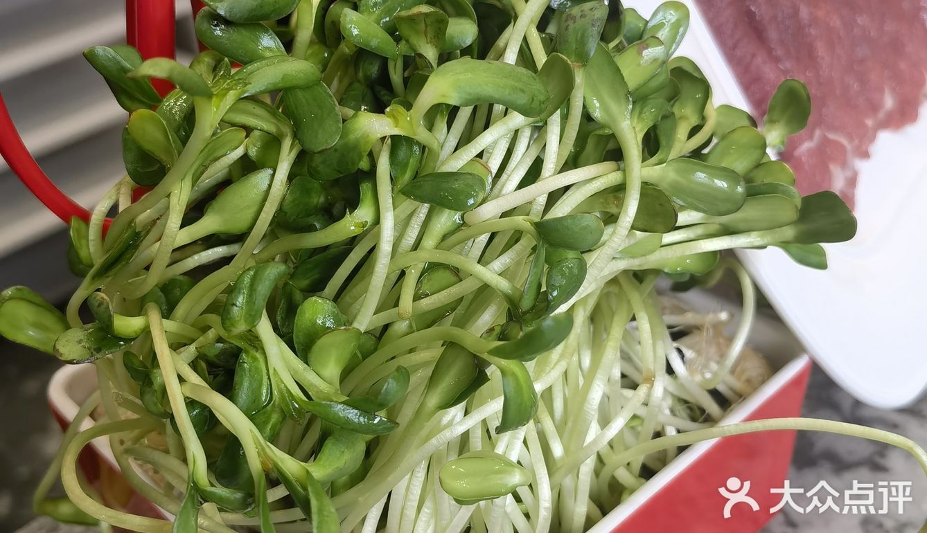 来珠市口吃地道老北京涮羊肉