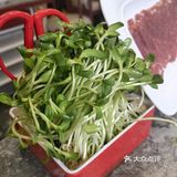 来珠市口吃地道老北京涮羊肉