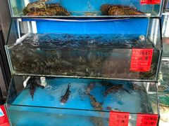 菜单-阿弟特色海鲜餐厅·大排档(平潭店)