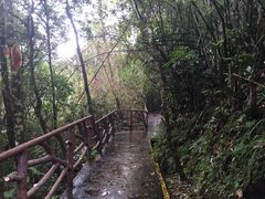 -海南热带雨林国家公园吊罗山景区
