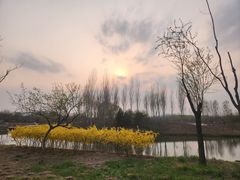 -东郊湿地公园