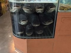 -小山寨(天润城店)