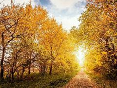 -乐享养生(东湖店)