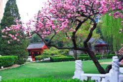 点击看大图 -琅悦月子会所(香格里拉旗舰店)