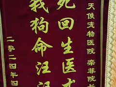 -瑞派天使宠物医院·神经外科·骨科·核磁(洛川中路店)