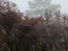 -广州市帽峰山景区