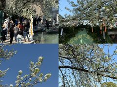 -晓琦农家菜馆·地道农家菜