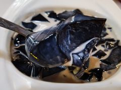 -梧州双钱龟苓膏(丽港航母店)