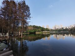 -重庆彩云湖湿地公园