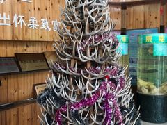 -北京鹿世界主题园