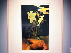 -上海虹桥当代艺术馆