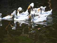 -石家庄市动物园