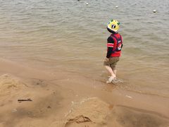 -碧海金沙