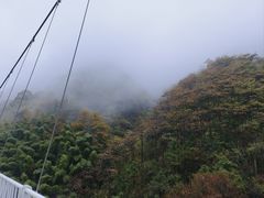 -藏龙百瀑风景区