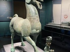 -广西壮族自治区博物馆