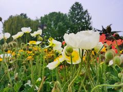 -睦南公园