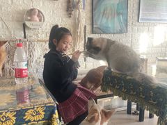 -平行世界·猫咖(首经贸店)