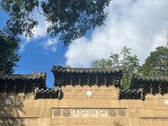 -灵谷景区
