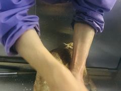 -全心全意连锁动物医院·微创中心·内科急重症·心脏专科(丰管路店)