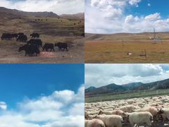 -青海湖国家重点风景名胜区