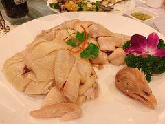朱记白切鸡-朱仔记食府(江南大道店)