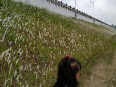 -仙海旅游度假区