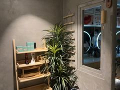 -施奈儿.洗头頭療.按摩SPA.采耳(上梅林店)