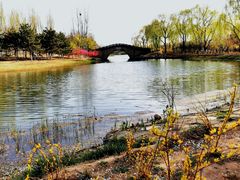 -大兴滨河森林公园