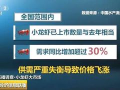 -呆虾王龙虾馆(南湖总店)